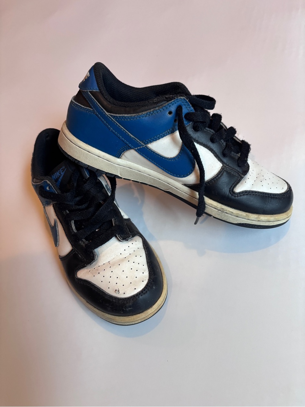 Nike Dunks Kids Low-Top Sneakers in Blue, Black & White